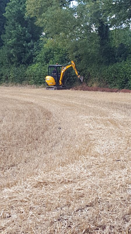 Trenching at rear of Tai Derwen