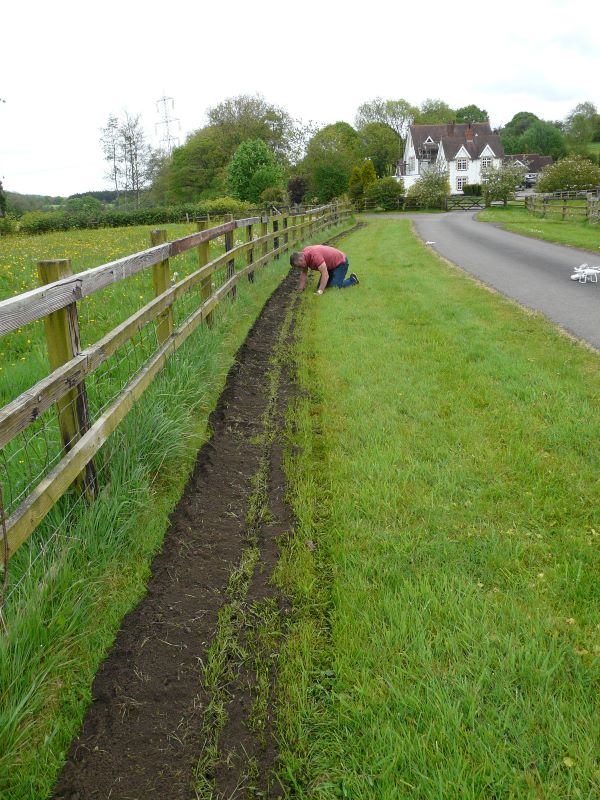 Mini trench along Ollie's Drive